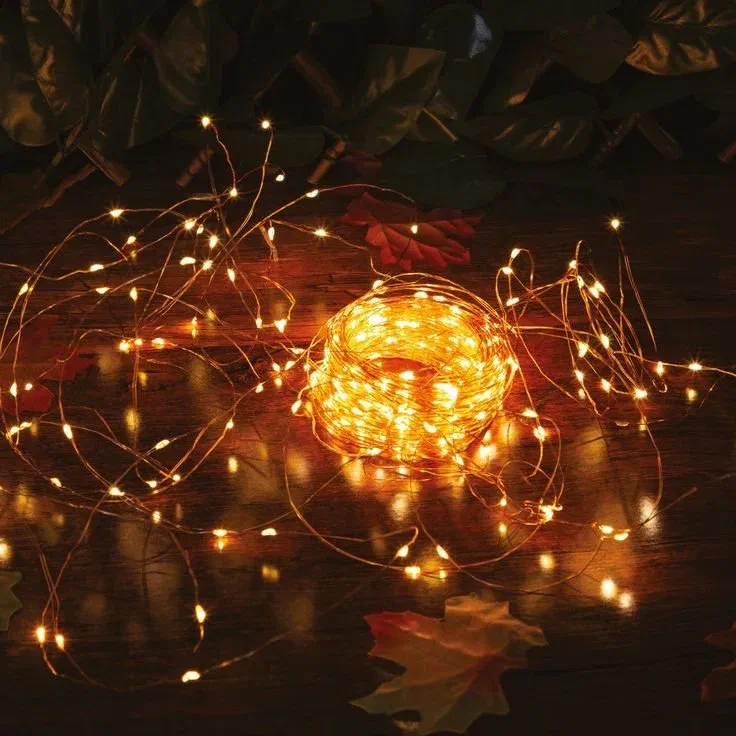 Copper wire fairy lights