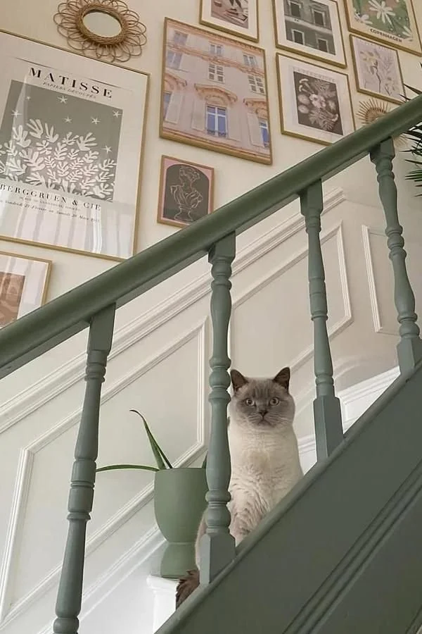 Colourful blue staircase with cat